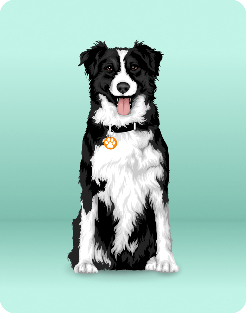 puppy-img