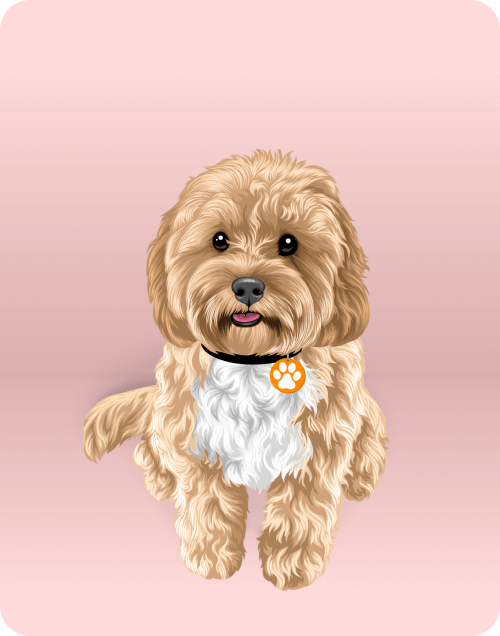 puppy-img