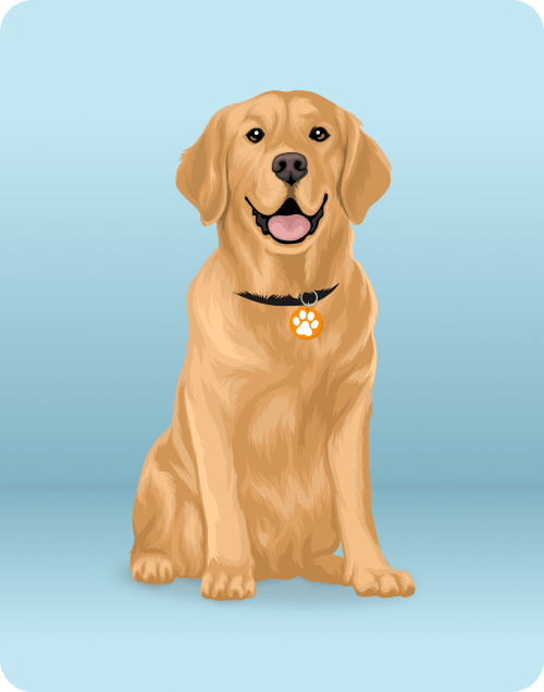 puppy-img