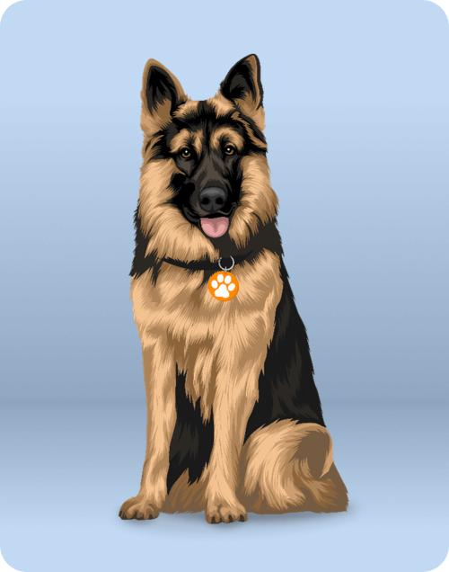 puppy-img